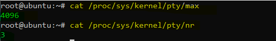 max nr current number pty linux