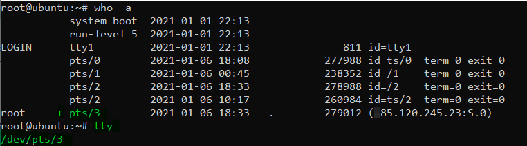 pts status write linux