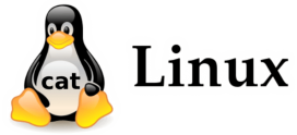 دستور cat در لینوکس برای نمایش و ایجاد و اصلاح و الحاق فایلها با مثالهای کاربردی