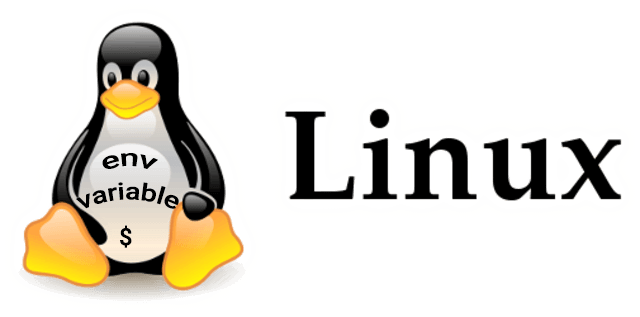 آموزش تصویری انواع متغیرها در لینوکس با مثالهای کاربردی